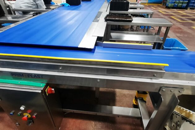 convoyeur agroalimentaire à bande textile alimentaire, équipé d'un embout sabre, spécialement conçu pour améliorer le transport et l'orientation des produits sur les lignes de production.