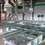 Ligne de process complète - Convoyeur à chaîne métallique en chimie