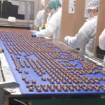 Convoyeur à bande textile spécialement conçu pour le transport de produits en contact direct avec la bande, idéal pour des applications industrielles nécessitant précision et adaptabilité.