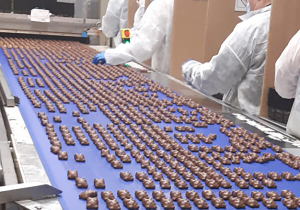 Convoyeur à bande textile spécialement conçu pour le transport de produits en contact direct avec la bande, idéal pour des applications industrielles nécessitant précision et adaptabilité.